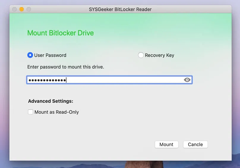 Mount bitlocker drive