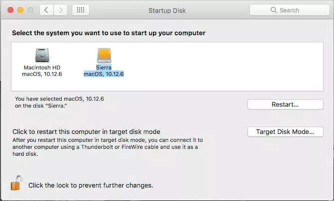 Startup Disk